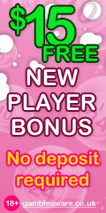 Get $15.00 Free at Bingo Fun - Use coupon code TPBD8